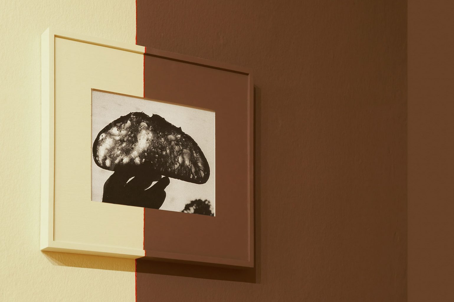 slice of space, 2011, 33,5cm x 41cm photographs, wood frame, house paint