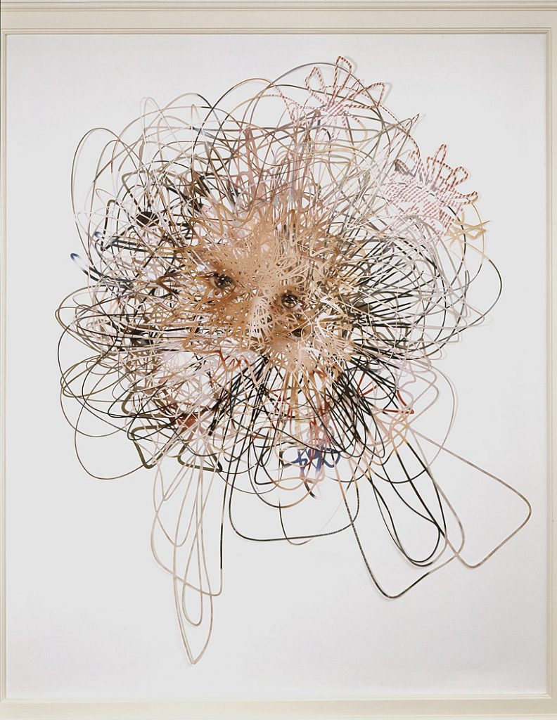 flower portrait, 2003, 180cm x 160cm 5 layered cut out photographs