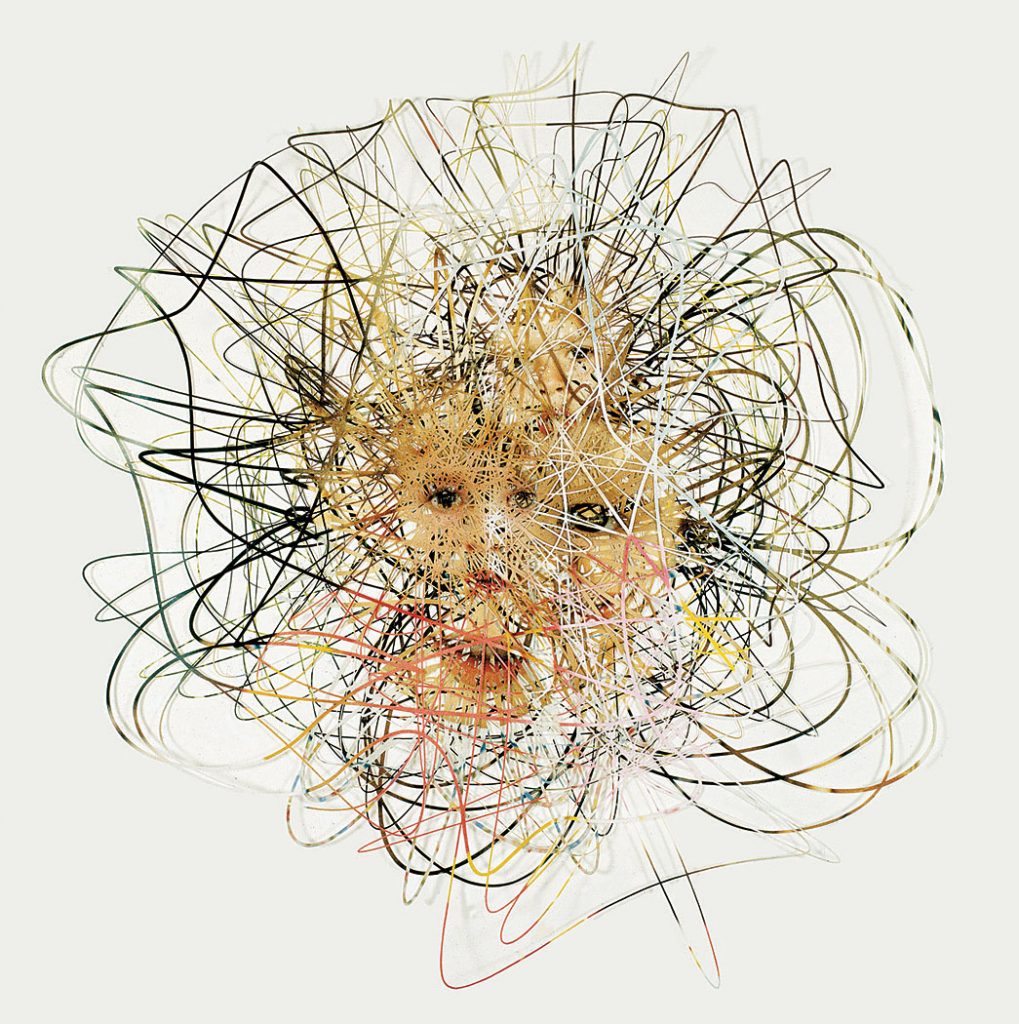 flower portrait, 2003, 140cm x 140cm 5 layered cut out photographs