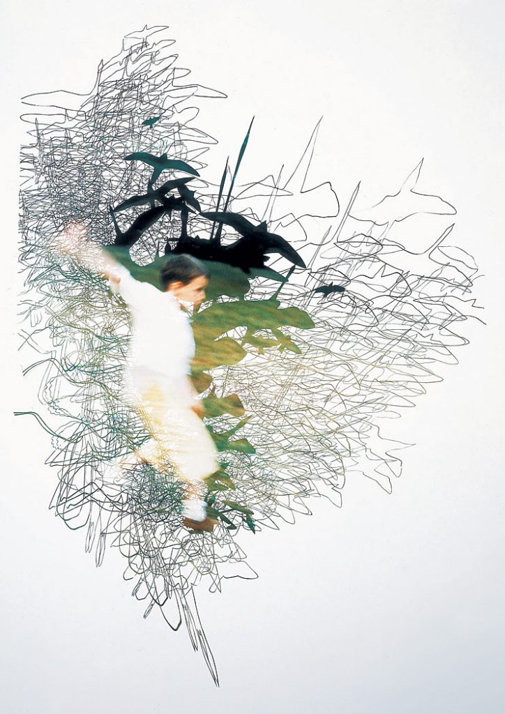 Flying Zoo, 2004, 180cm x 160cm cut out photograph