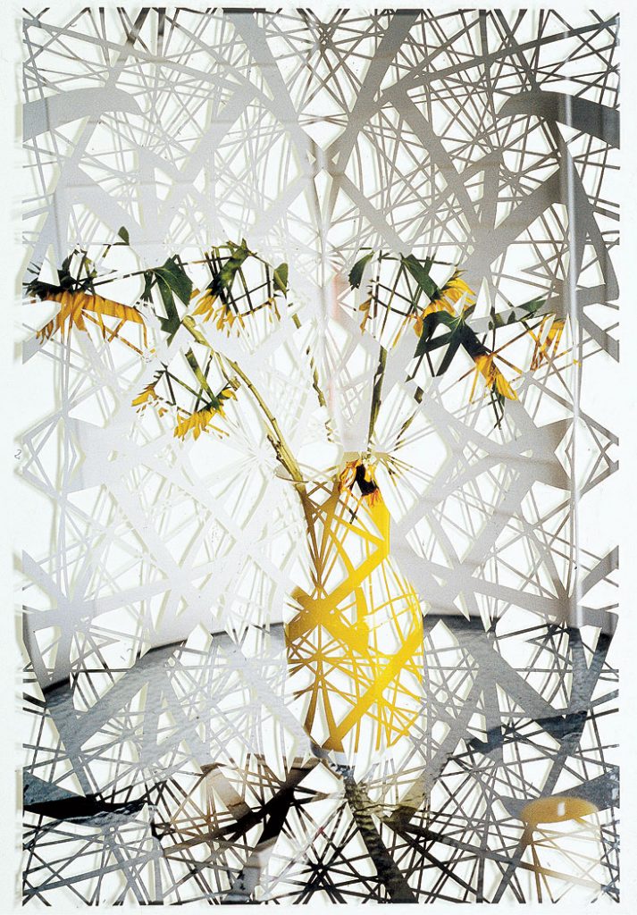 sunflowers, 2004, 90cm x 60cm cut out photograph