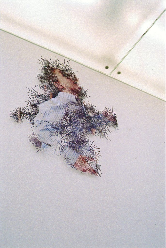 fuzzy Zoo , 2004, detail of Installation