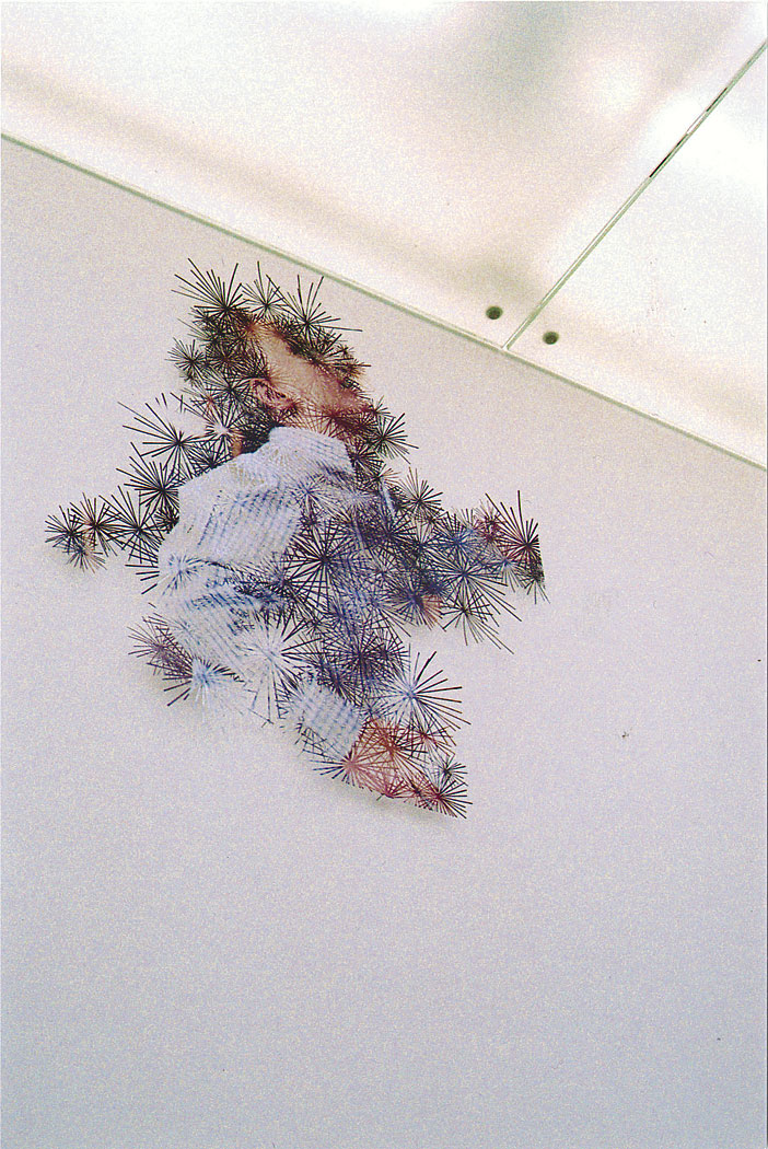 <p>Fuzzy Zoo (detail)_2004, partial view of installation</p>
