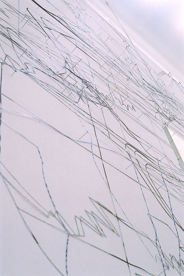 <p>Thunderstorm and wild geese like the ones that fly over the bay (detail)_2005, variable dimensions, cut out photographs, nails, plexiglass, cable      </p>
