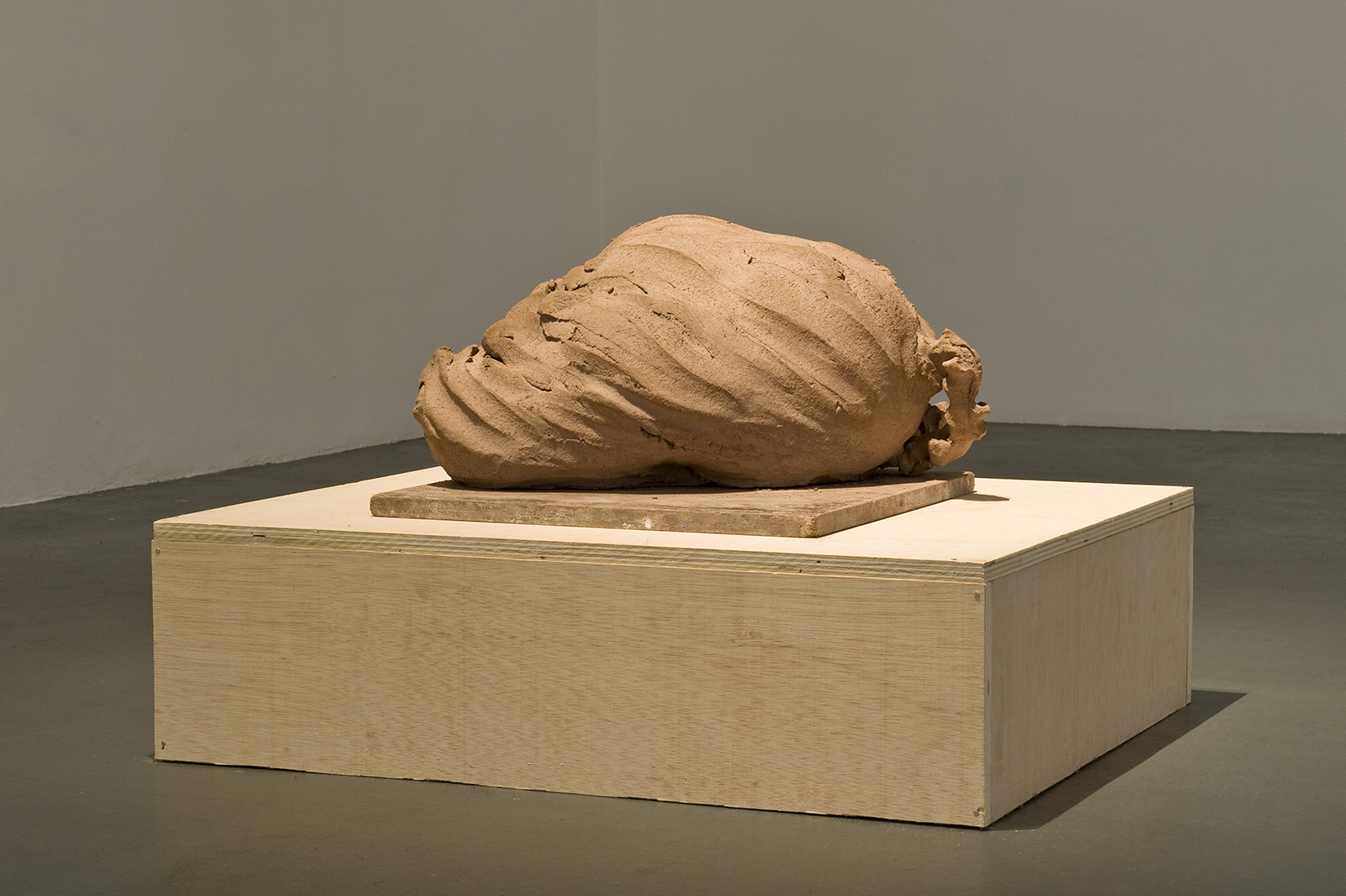 <p>Tending to a feeling of detachment  (detail)_2014, 30x40x56.5 cm, unfired clay and wood</p>

