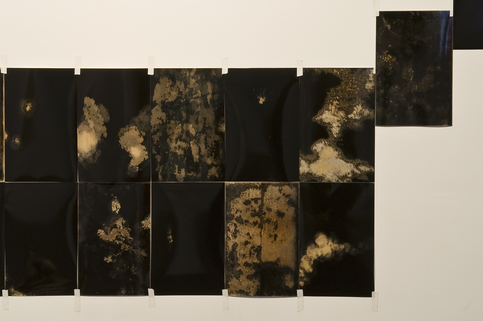 <p>Tending to Black (2014), detail, black photographs printed with acid, 153cm x 181cm</p>
