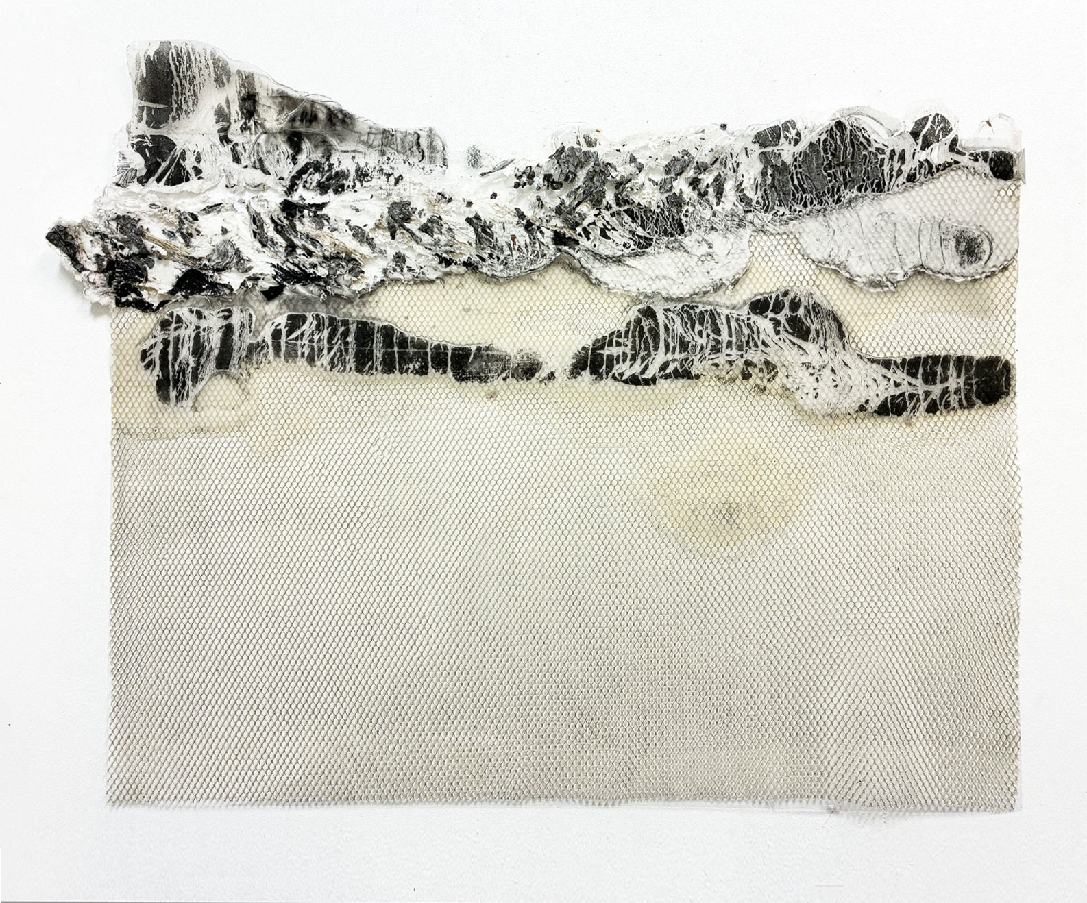 <p>Pressure Points_Surge_2026_Nylon netting, acrylic sheeting, gesso, medium, carbon_ transfer56x65cm</p>
